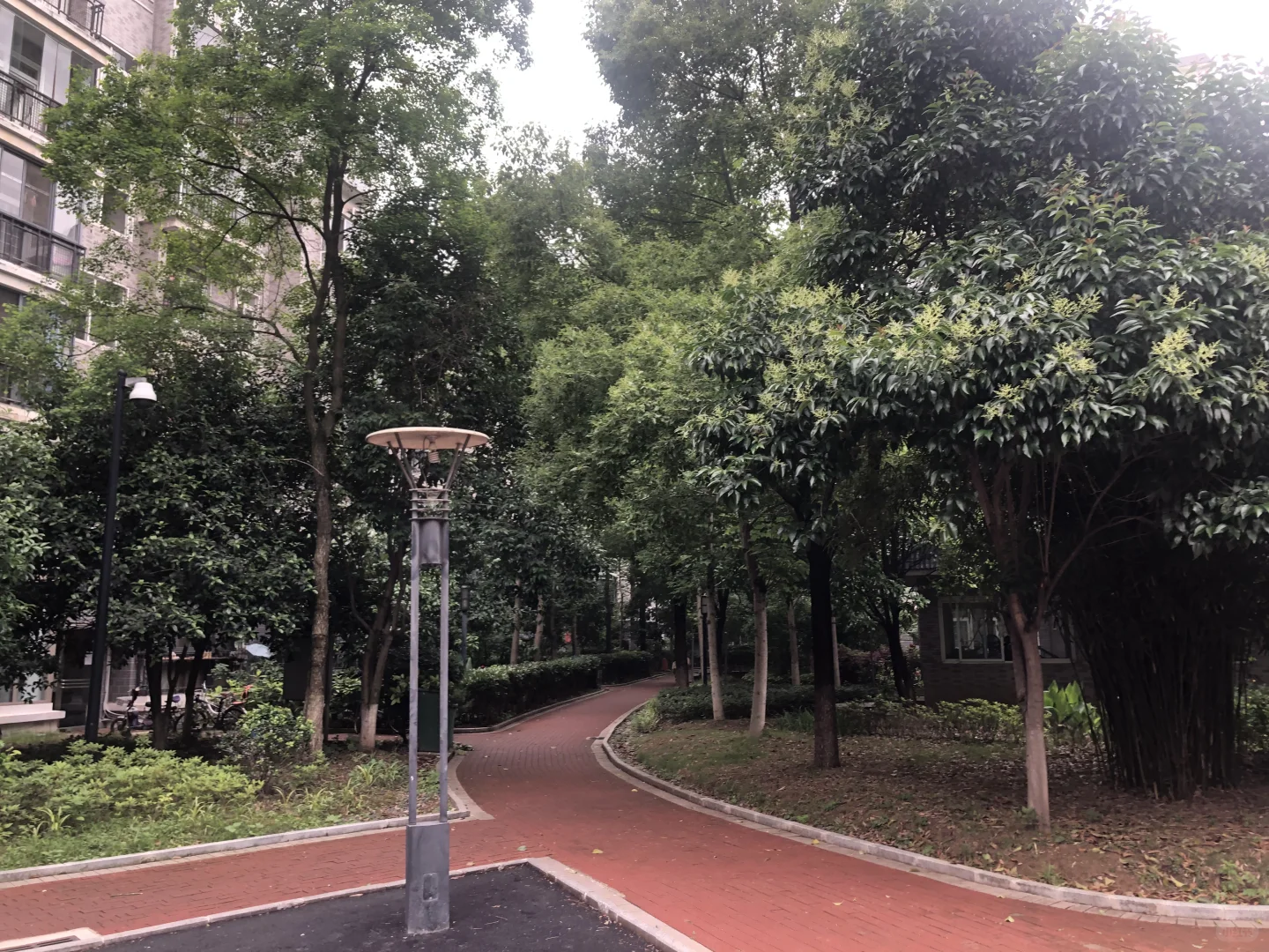 真不愧是我偏爱的小区，公园里的房子
