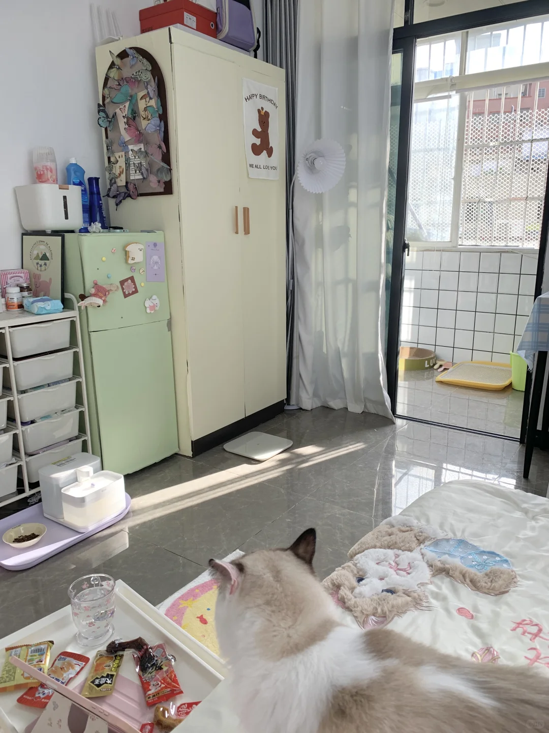 月租600 一个人住也很幸福～