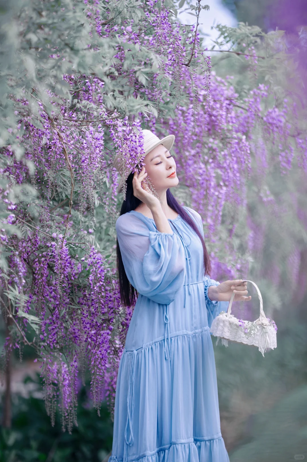 又是一年紫藤花开🌸🌸