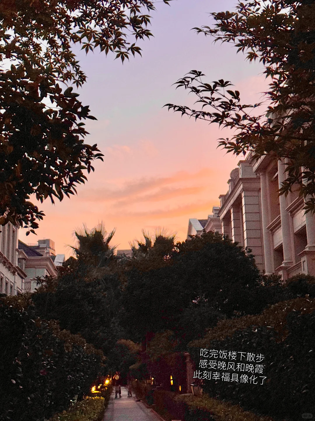 00后第七次租房｜终于住进了理想的家🏠