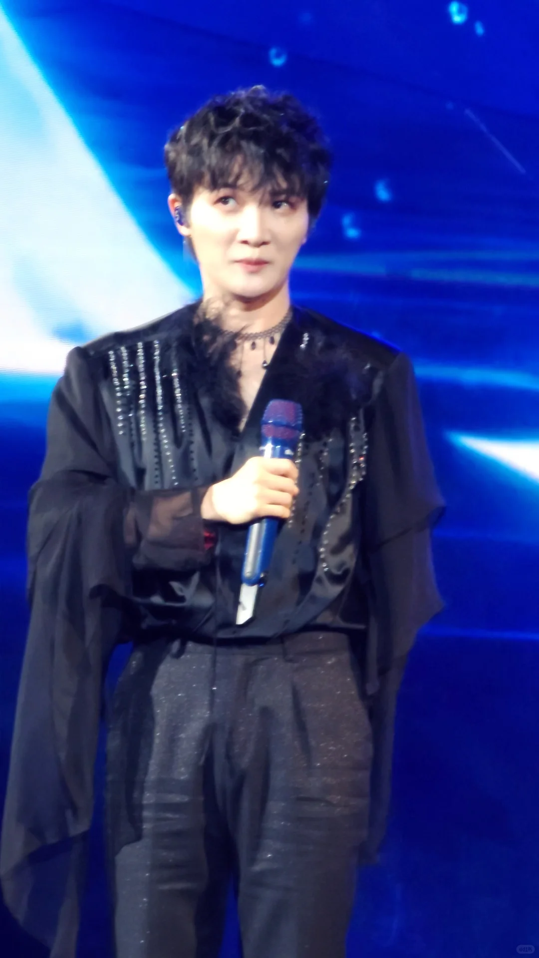 什么叫媚眼如丝 什么叫蛊王 什么叫钓系