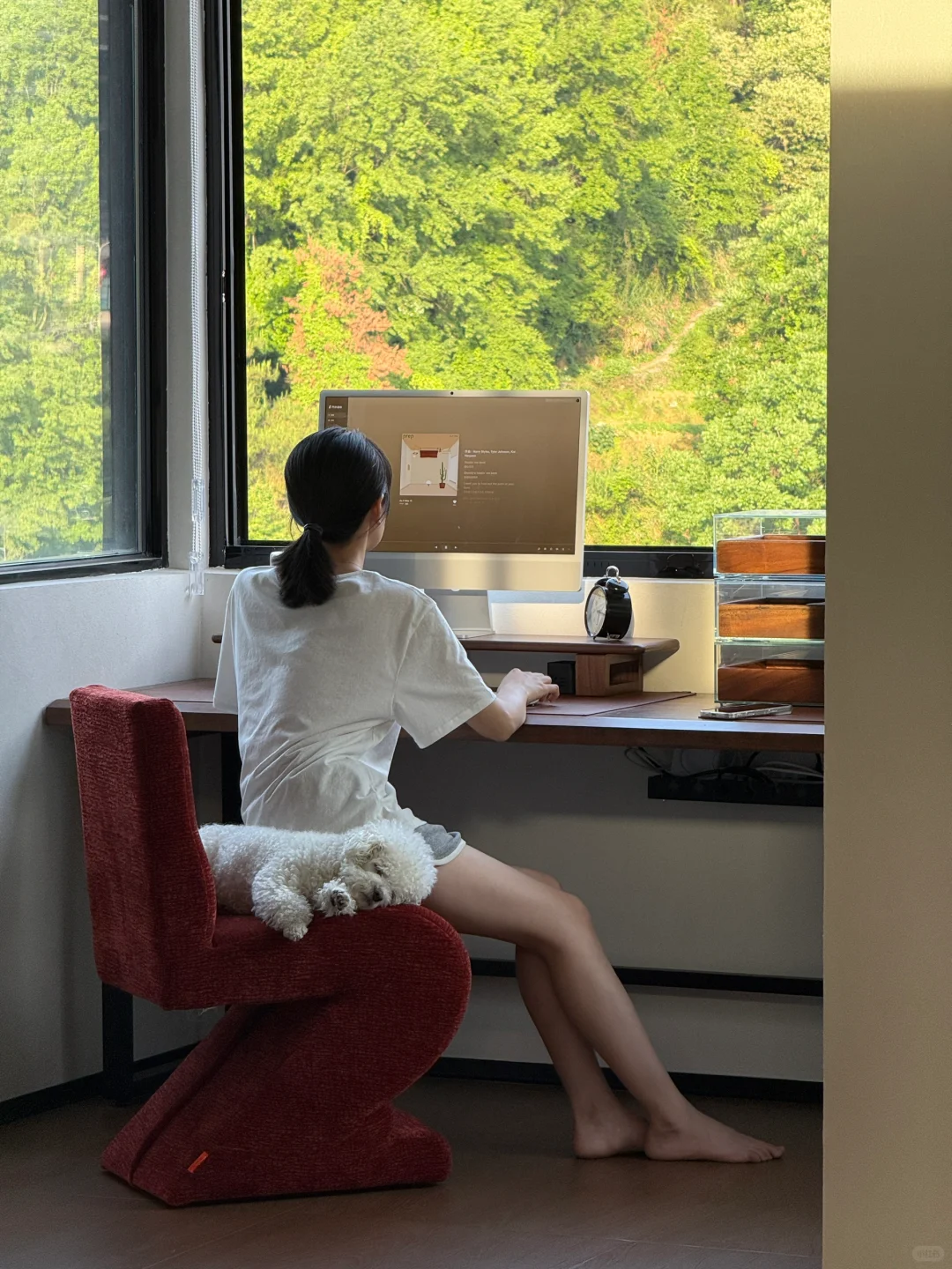 是会反复爱上的阳光下的家