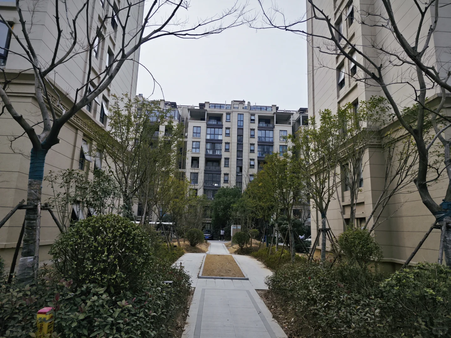 包过户的电梯洋房来了