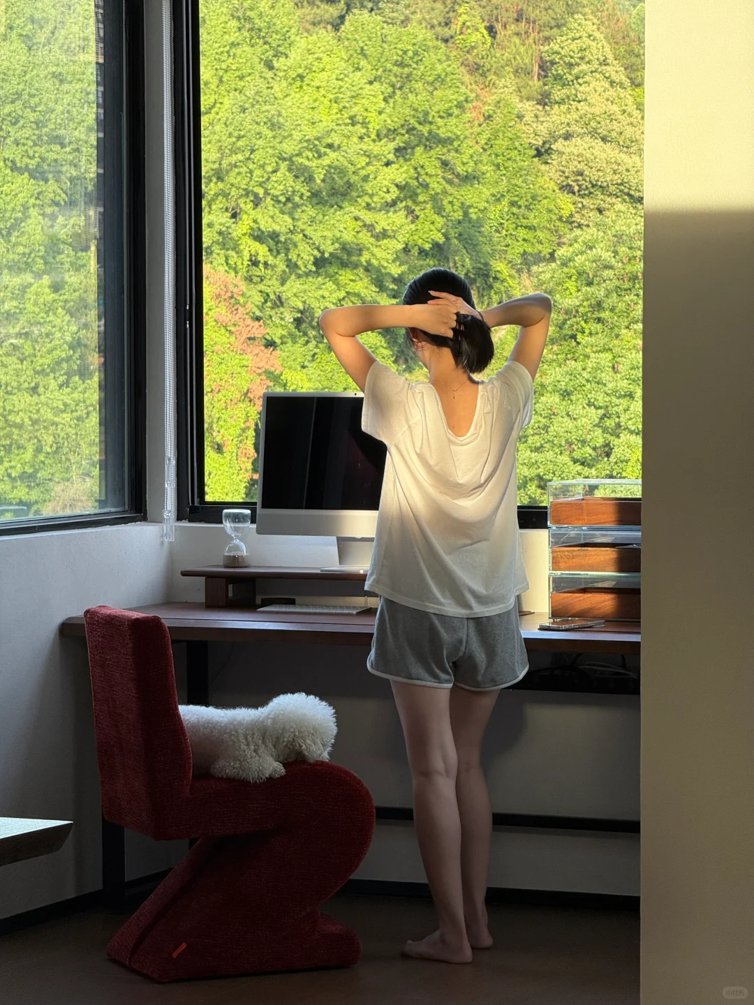 是会反复爱上的阳光下的家