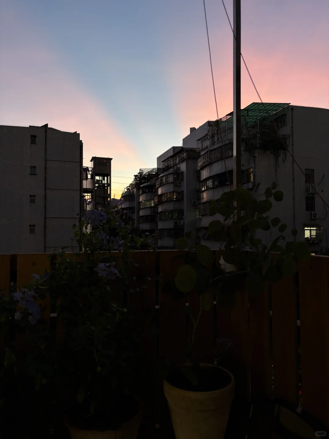 老破小改造20 ㎡日杂风｜小户型的治愈系生活