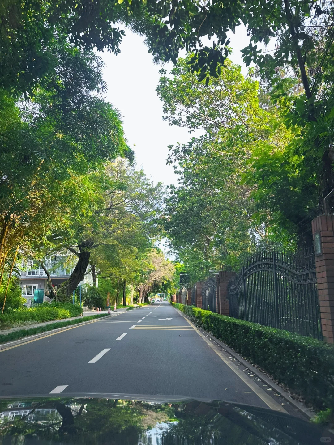 看遍深圳，终归香蜜湖…有一种生活，临湖而居