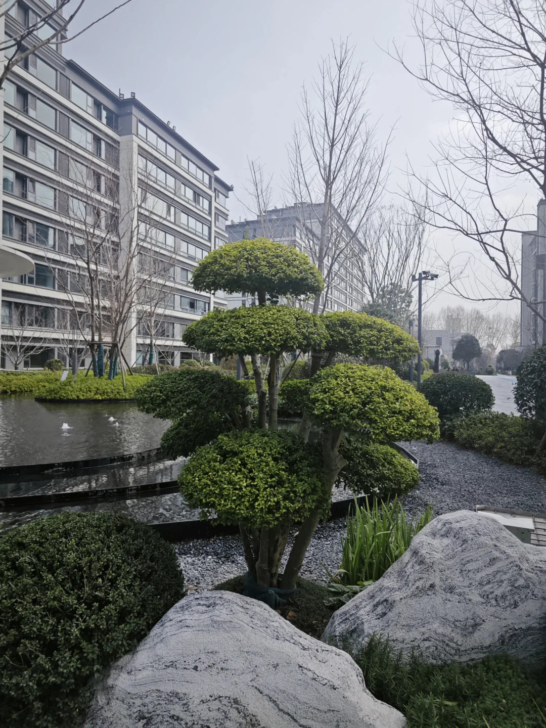 南部新城单价3.5万买130平花园式电梯洋房