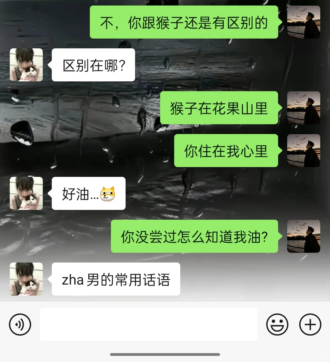 撩就大大方方的撩