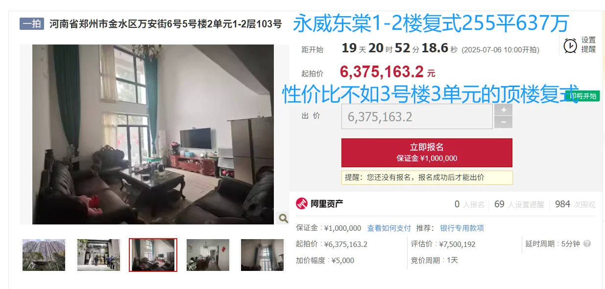 是哪个大老板一下子被拍卖了6套大房子啊？