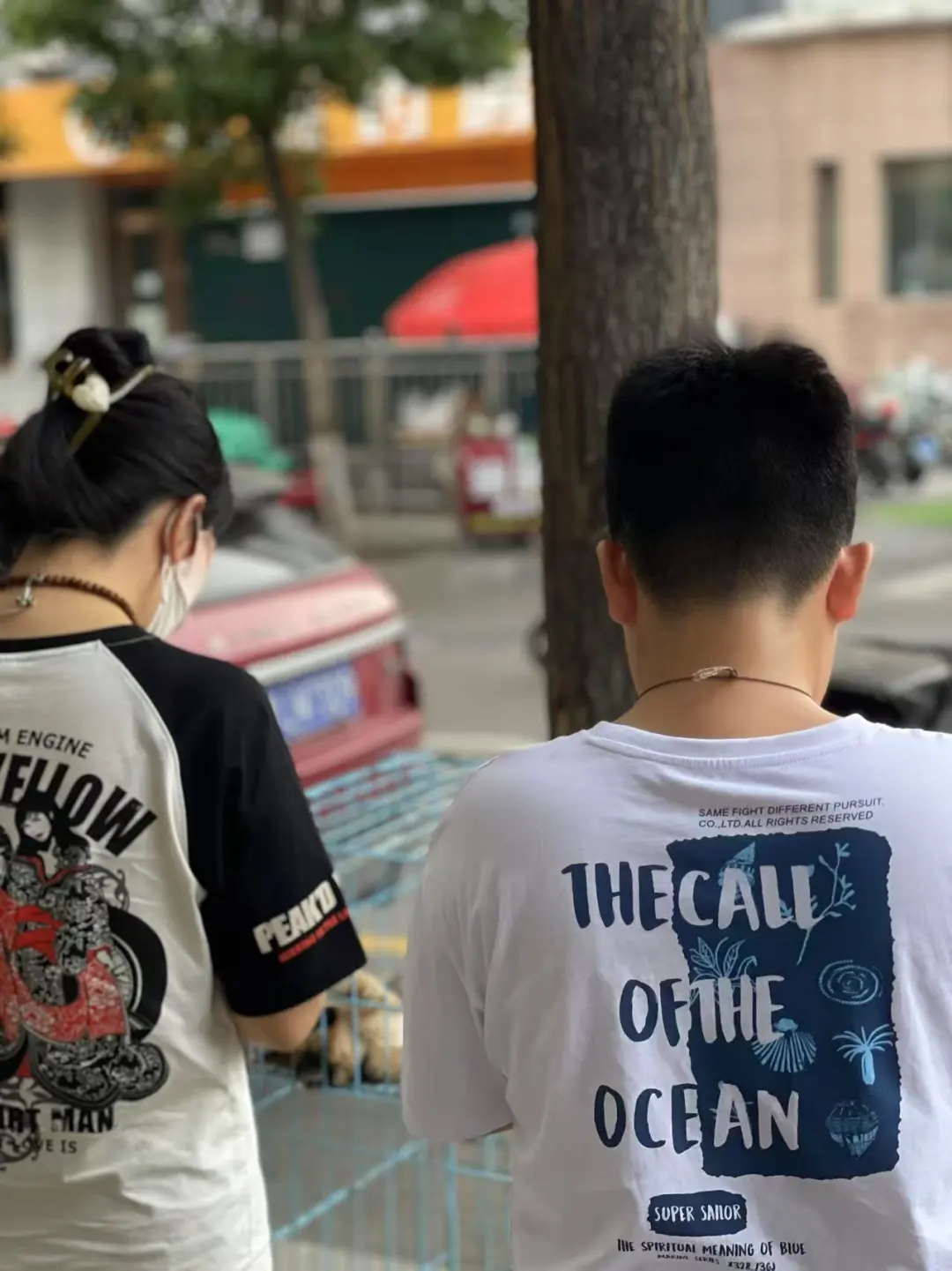 亲历小升初——八少八素，体测、租房（五）