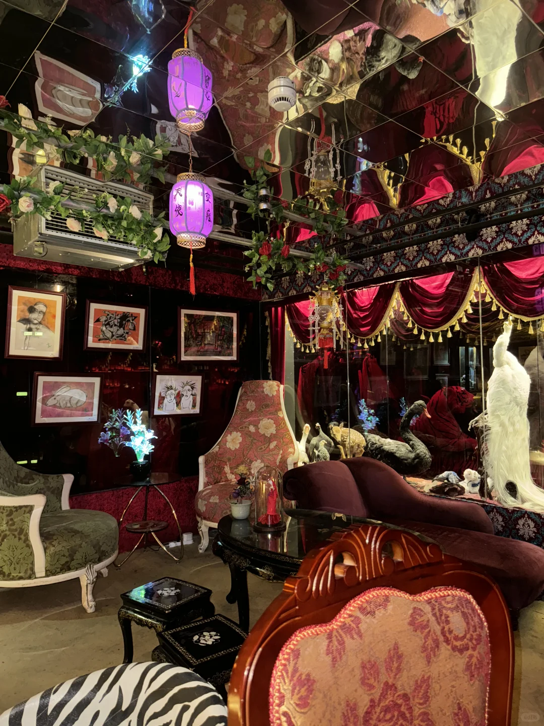 新年第一套皮肤：猛虎莉莉𓈒𑁍‬