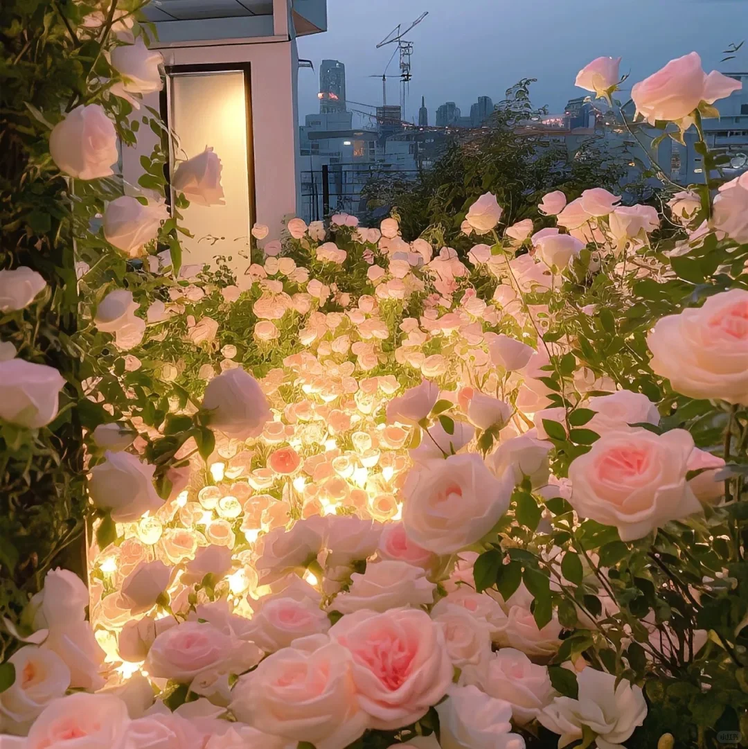 御女头｜唯美壁纸🌸