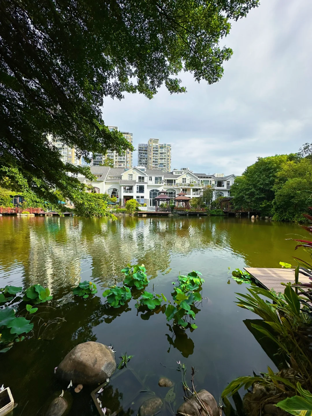 看遍深圳，终归香蜜湖…有一种生活，临湖而居
