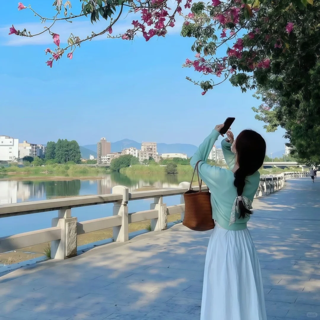 头像 |背影大女主女头