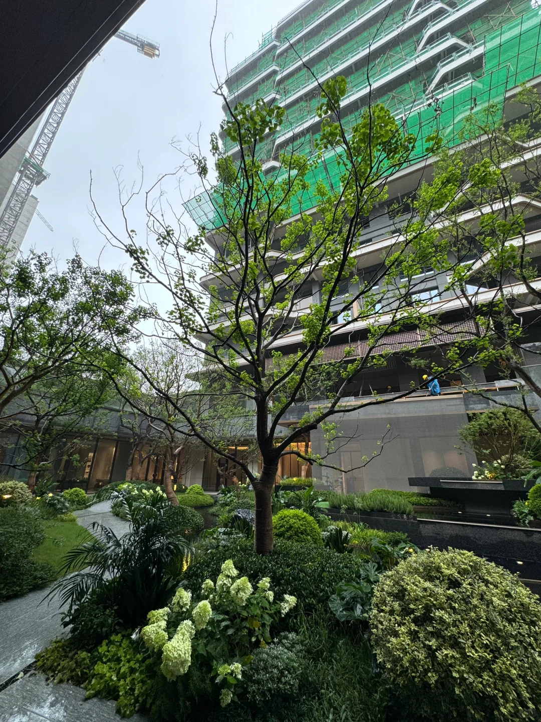 果真新房看着漂亮，第四代住宅