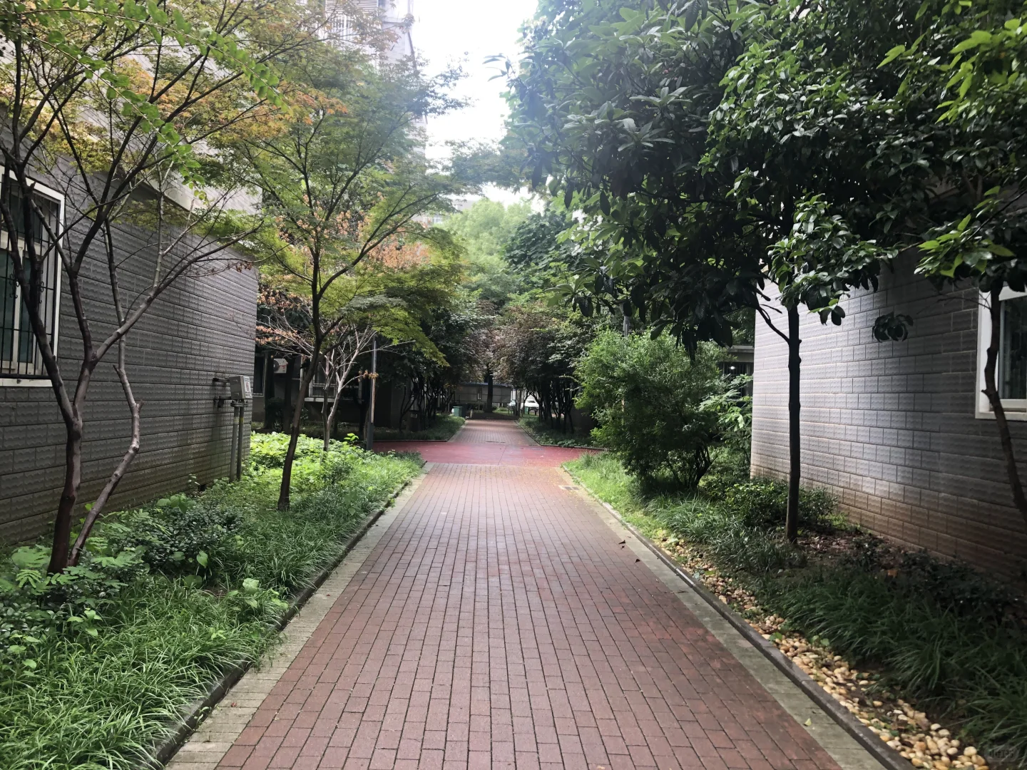 真不愧是我偏爱的小区，公园里的房子