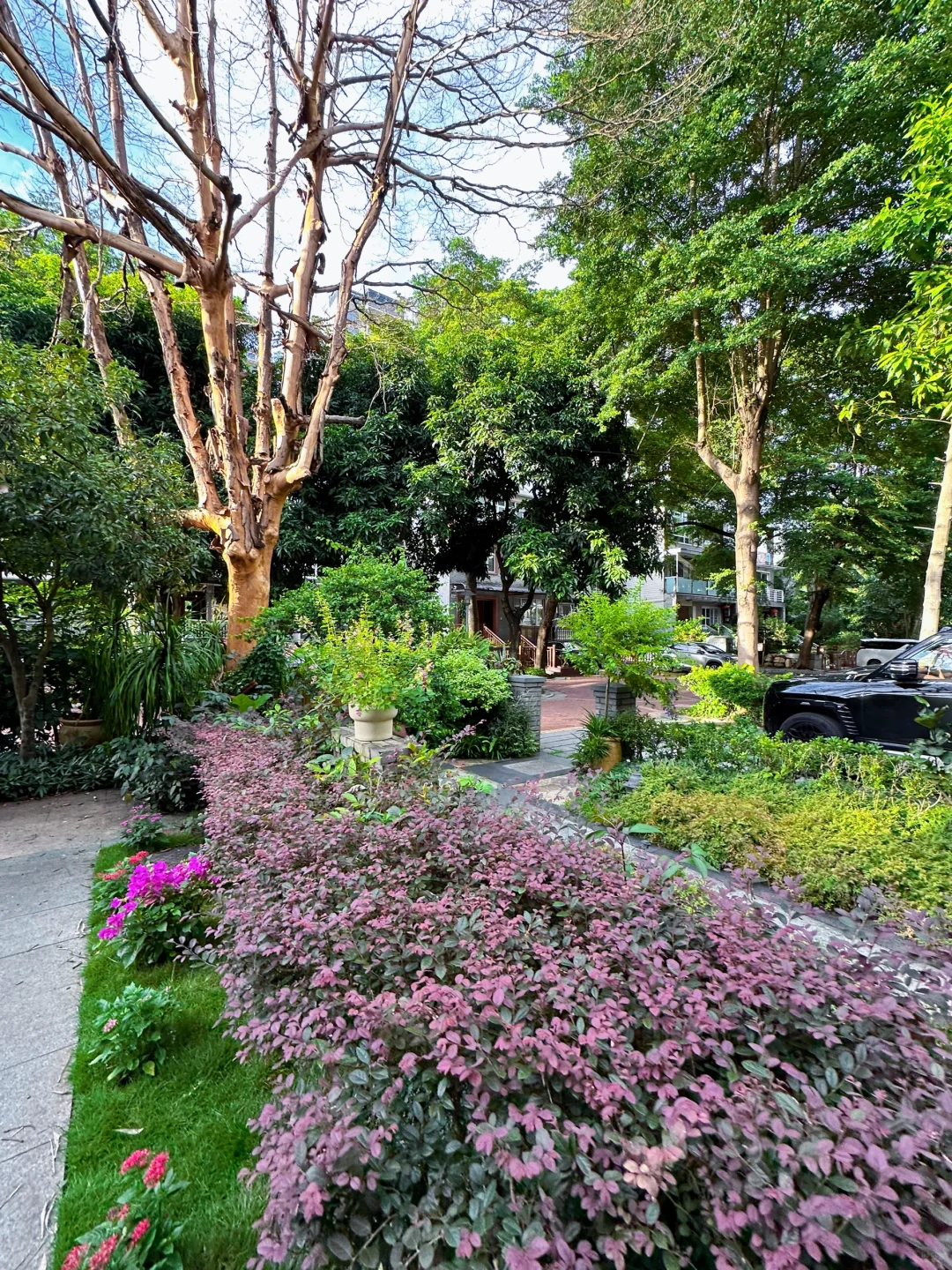 看遍深圳，终归香蜜湖…有一种生活，临湖而居