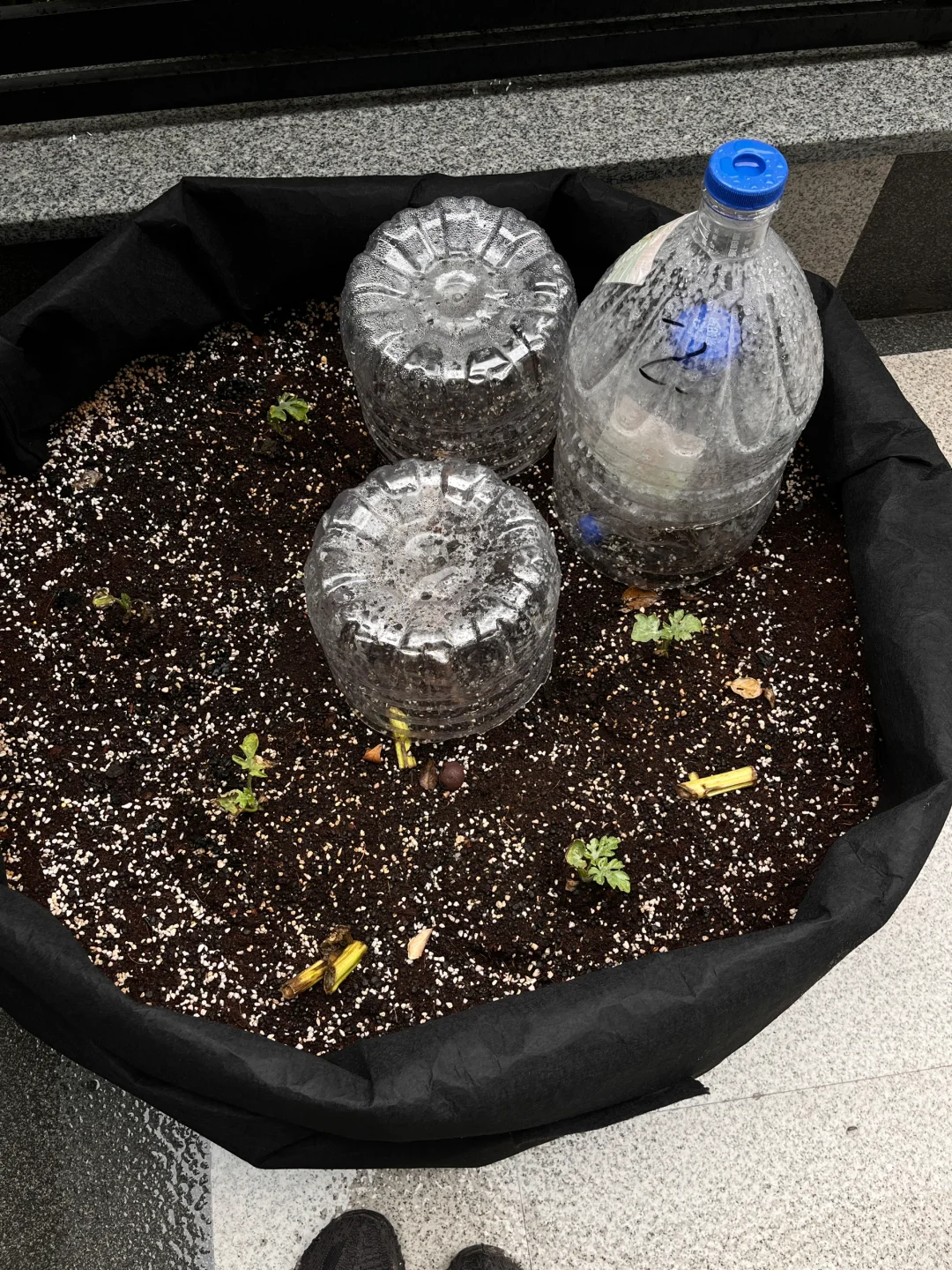 洋房一楼带花园地下室，下雨天沉浸式宅家