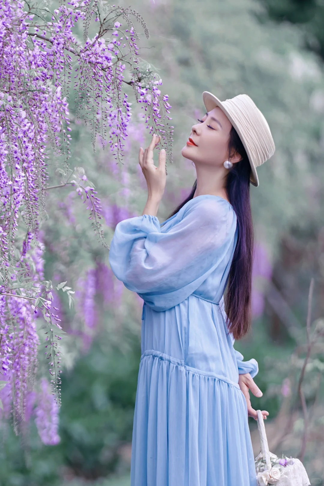 又是一年紫藤花开🌸🌸