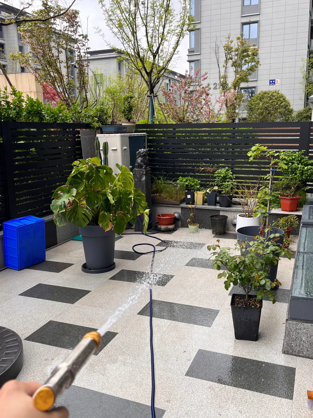 洋房一楼带花园地下室，下雨天沉浸式宅家