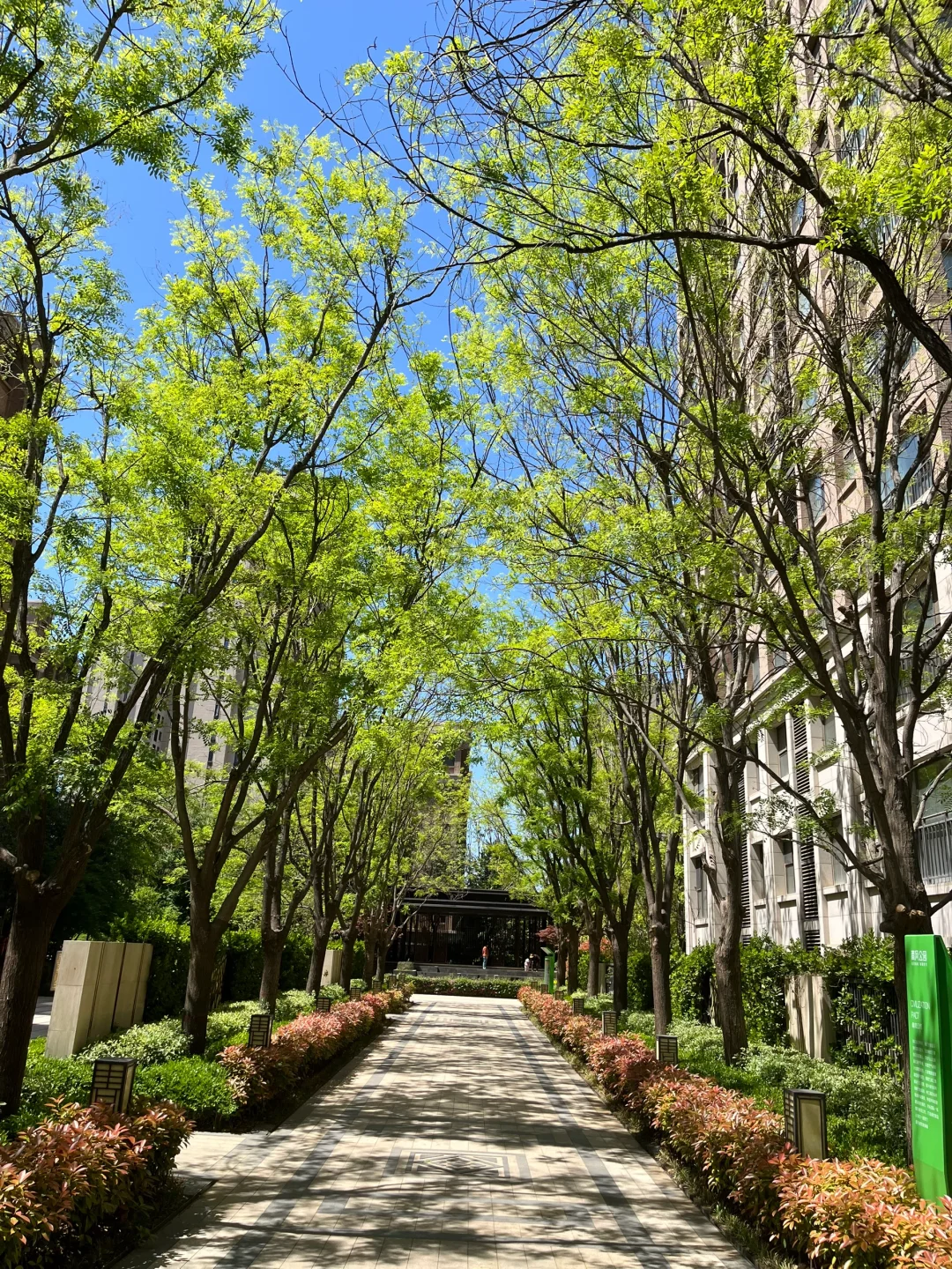 滨河看房 青风公园爱啦