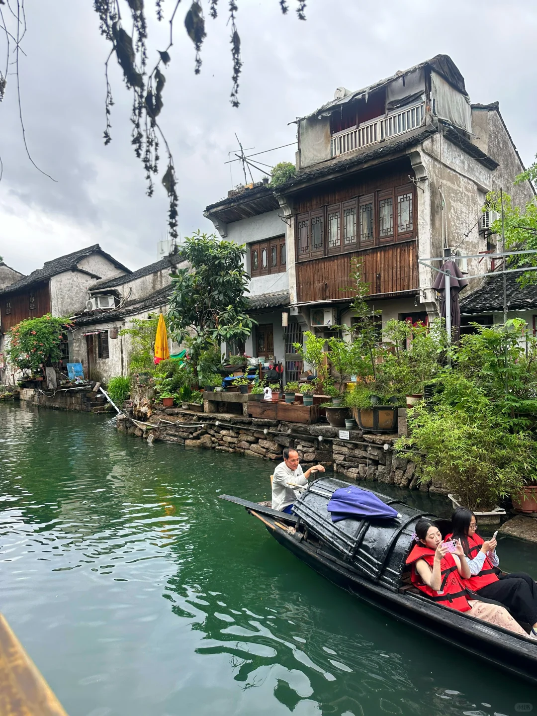 绍兴🍃丨读先生的书，探先生故里