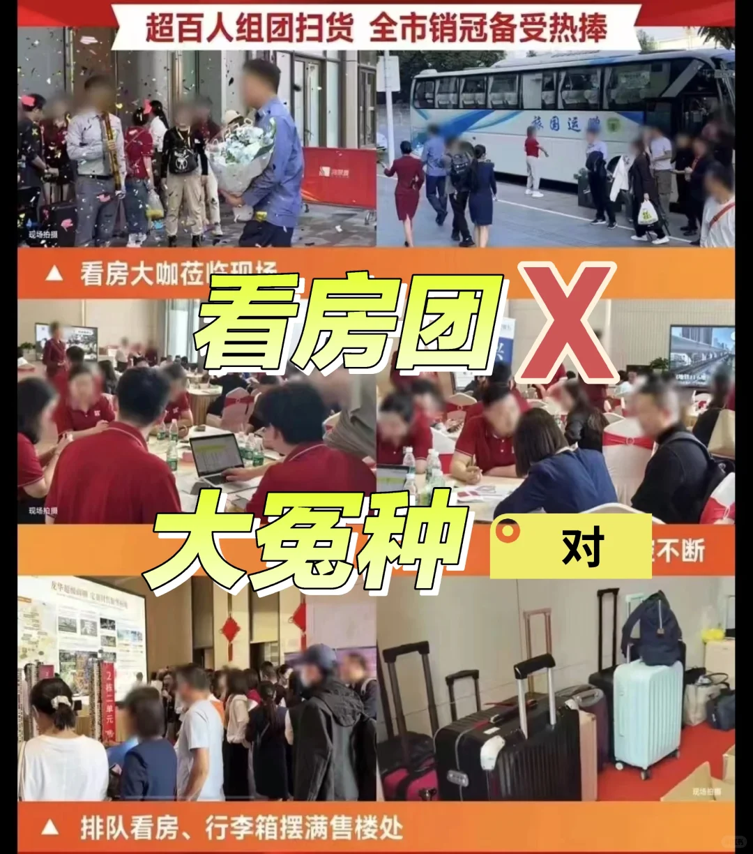 看房团＝集体被割的韭菜！！