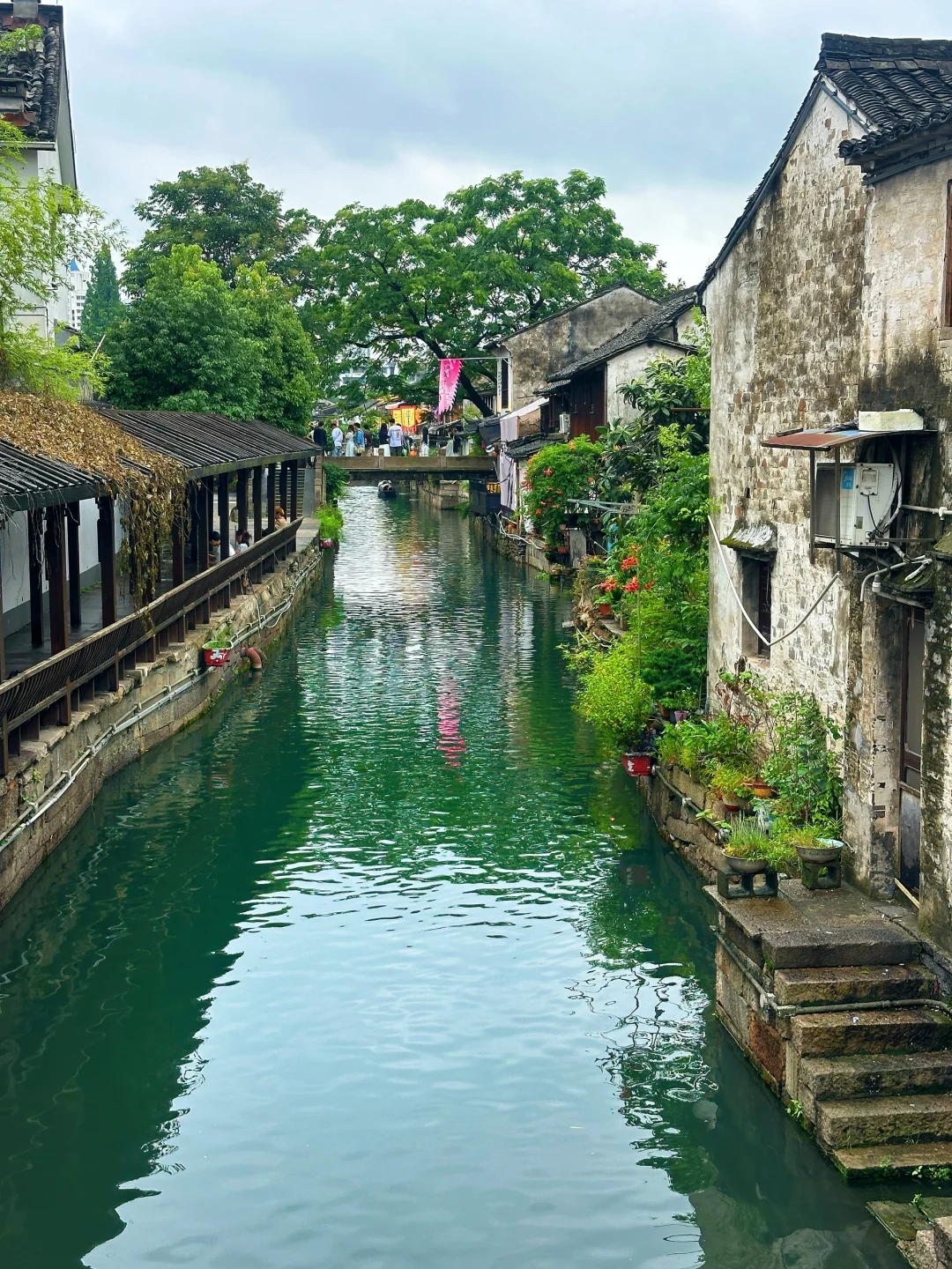 绍兴🍃丨读先生的书，探先生故里