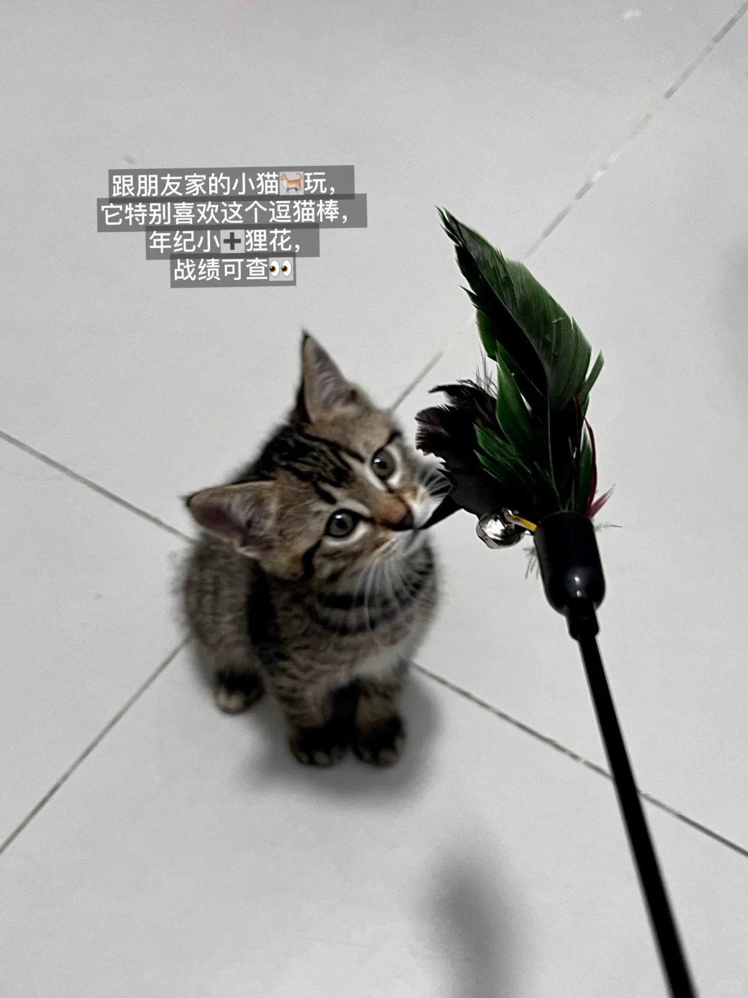 成功到沪！住进了我来上海的第1️⃣间小房子～