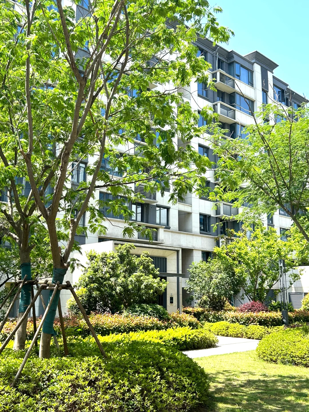 天塌了😰去年210万今年145买包河11层洋房🏡