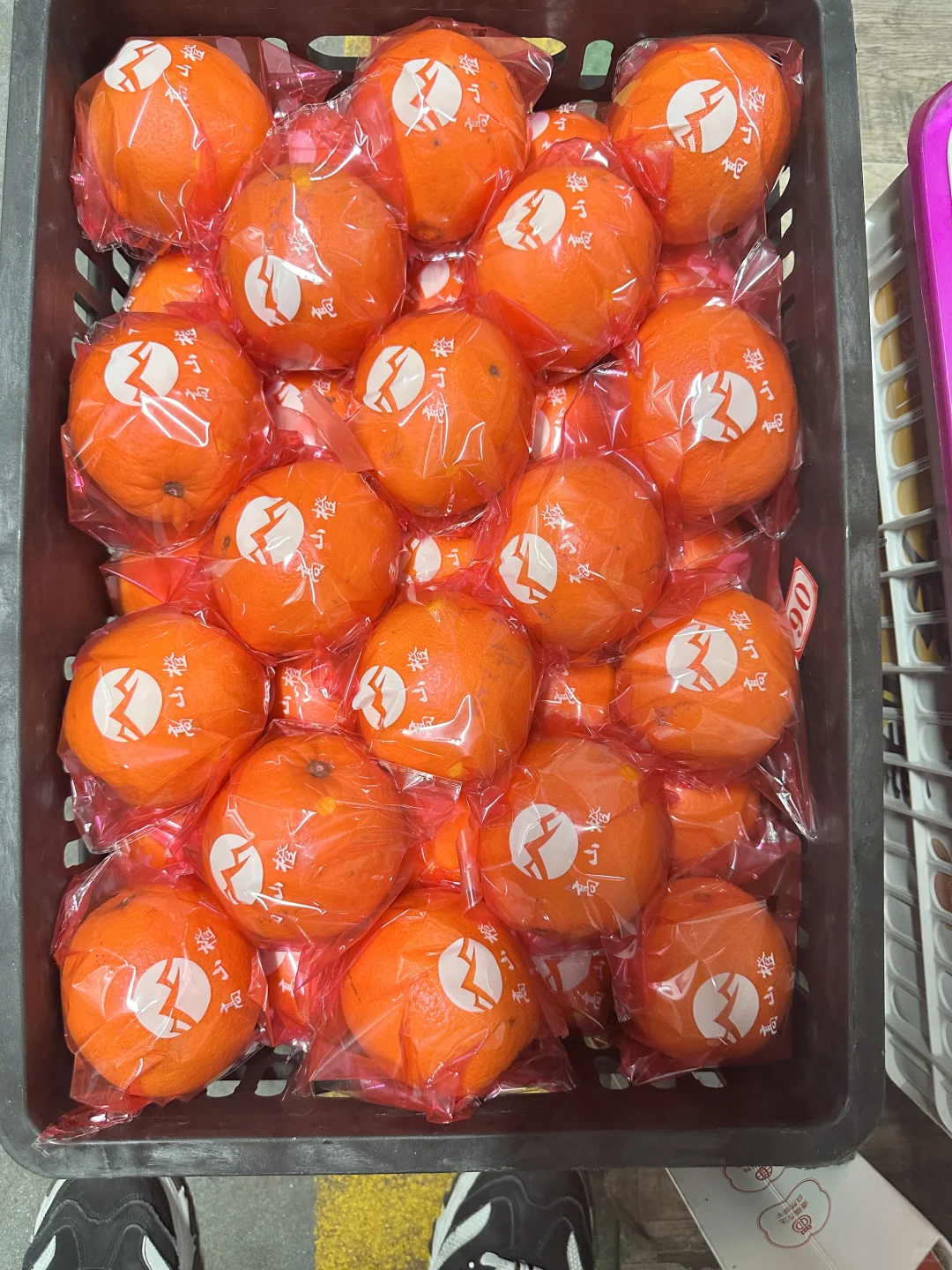 记录做社区团购N+2天