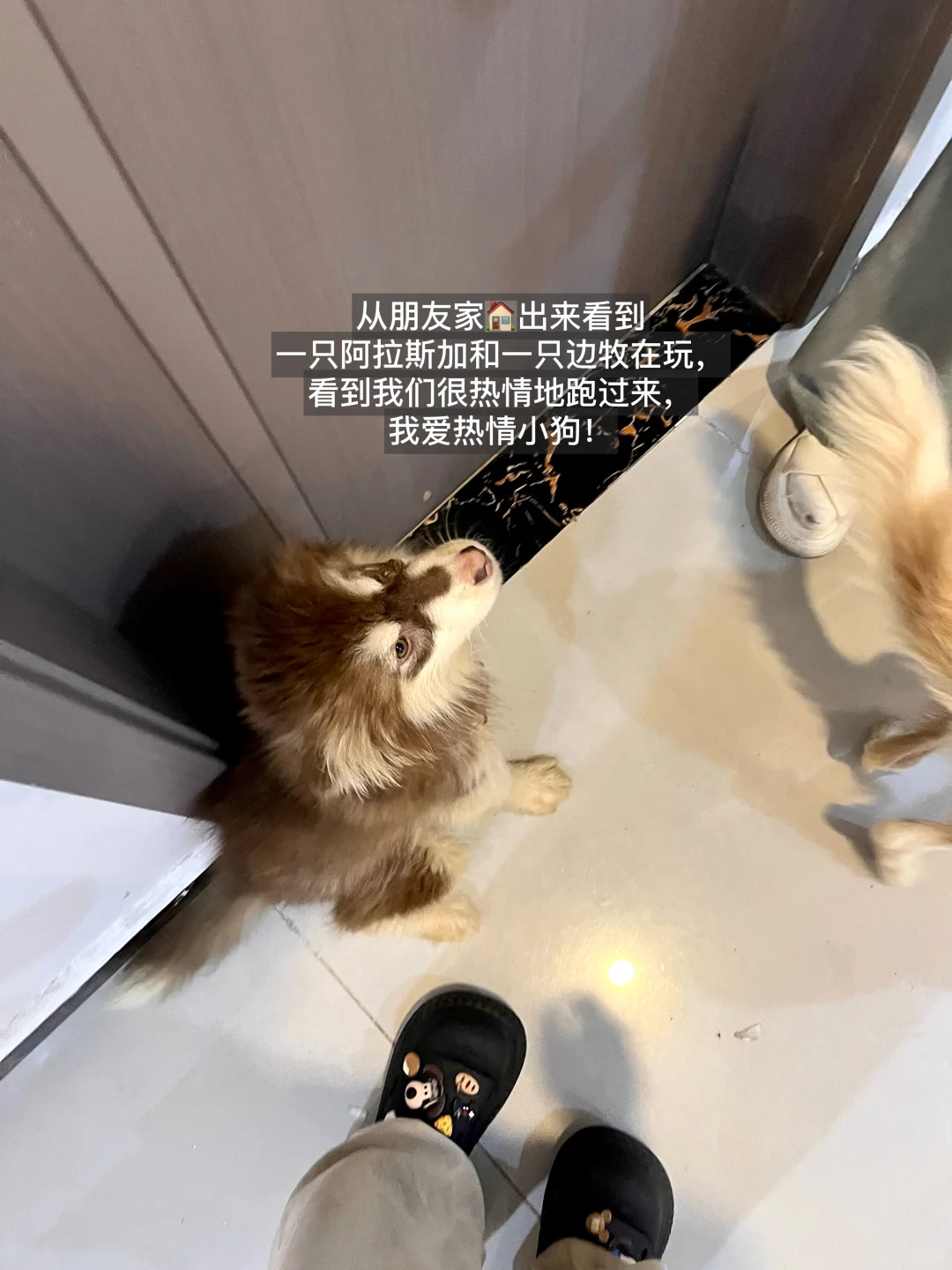 成功到沪！住进了我来上海的第1️⃣间小房子～