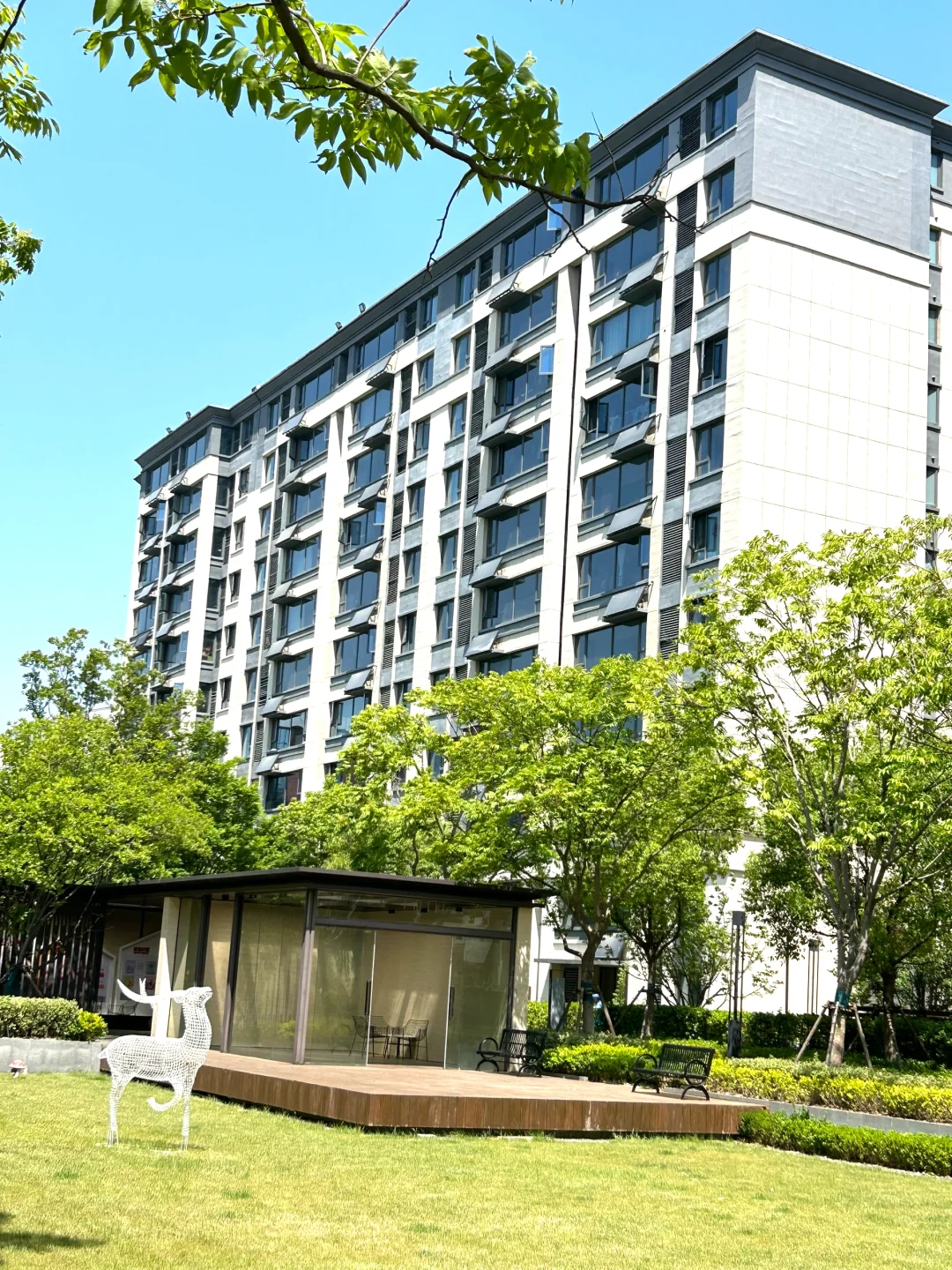 天塌了😰去年210万今年145买包河11层洋房🏡