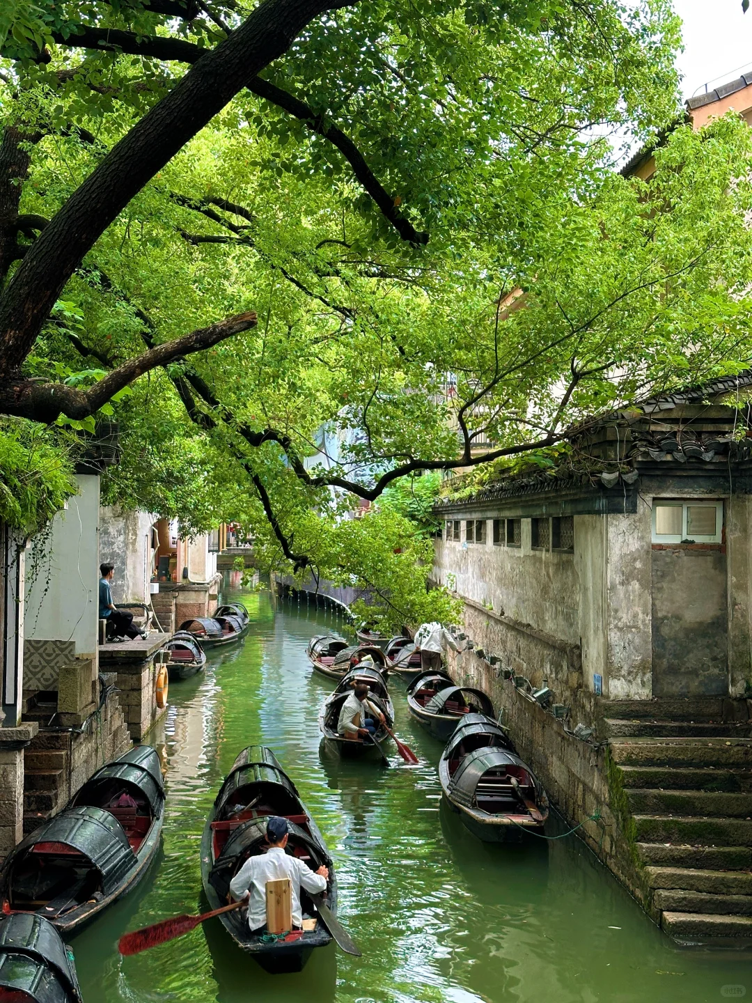 绍兴🍃丨读先生的书，探先生故里