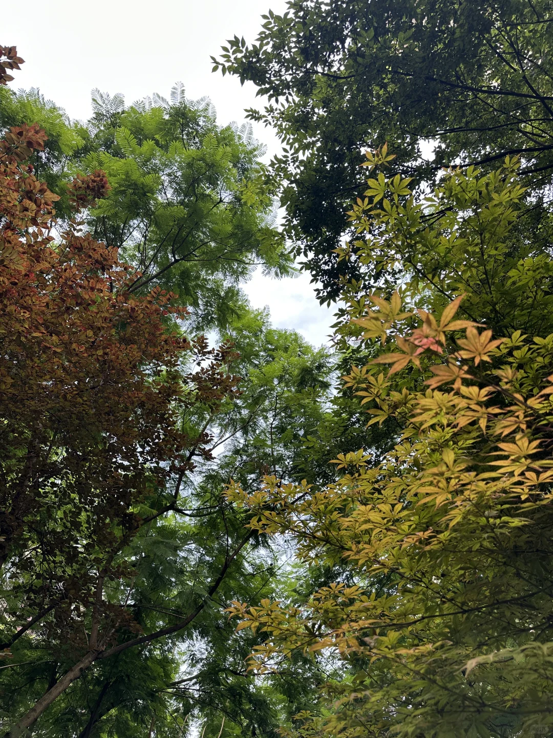 重庆沙坪坝丨捡大漏！43万买91平次新洋房😱
