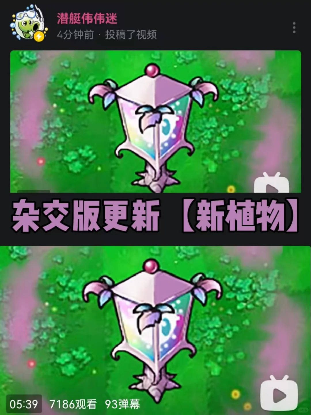 【杂交版更新动态】魅惑系列又出一员