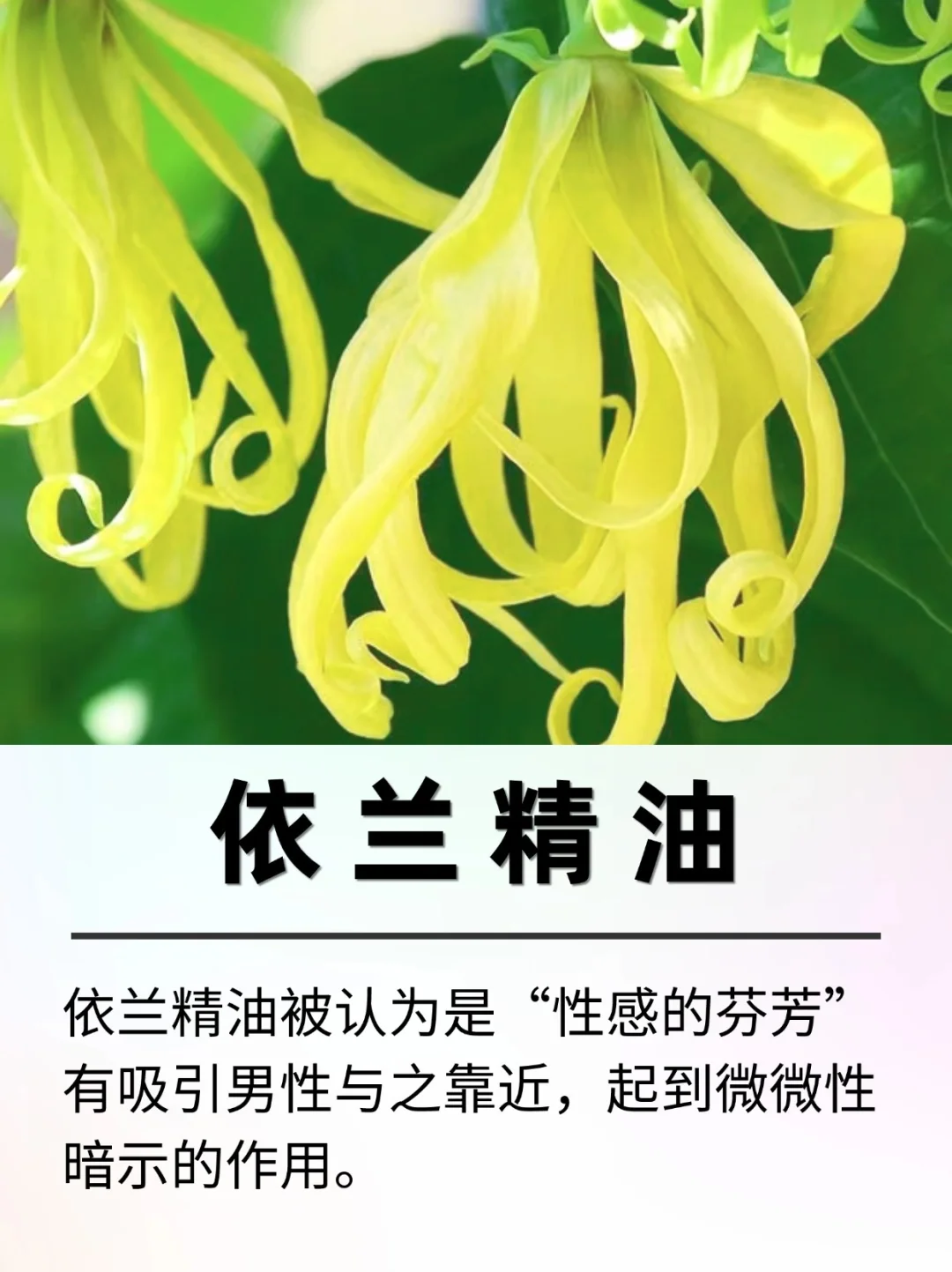 🔥点燃爱火，情人节感情升温小妙招💑