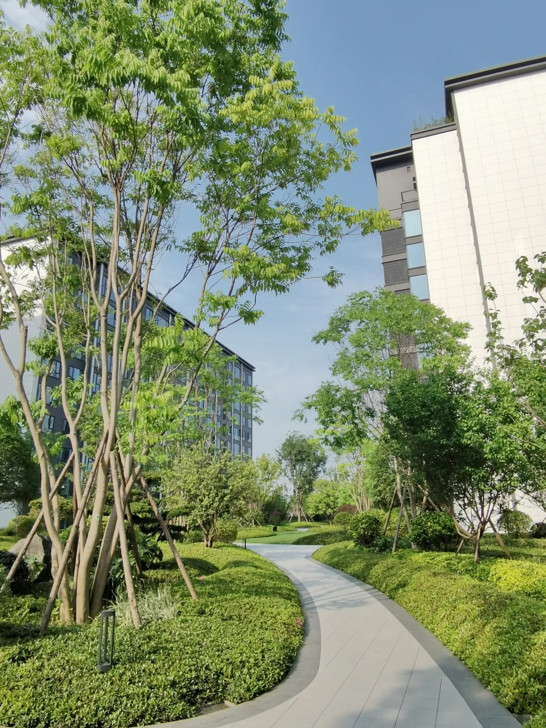 朋友家的小区像公园