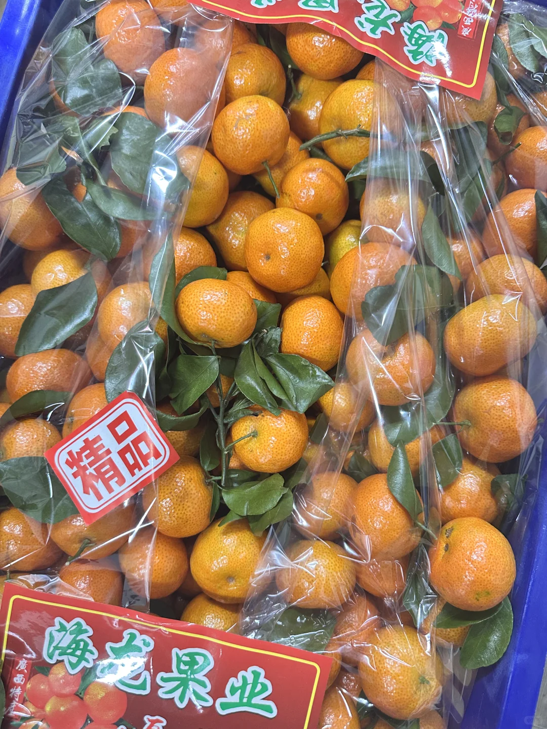 记录做社区团购N+2天