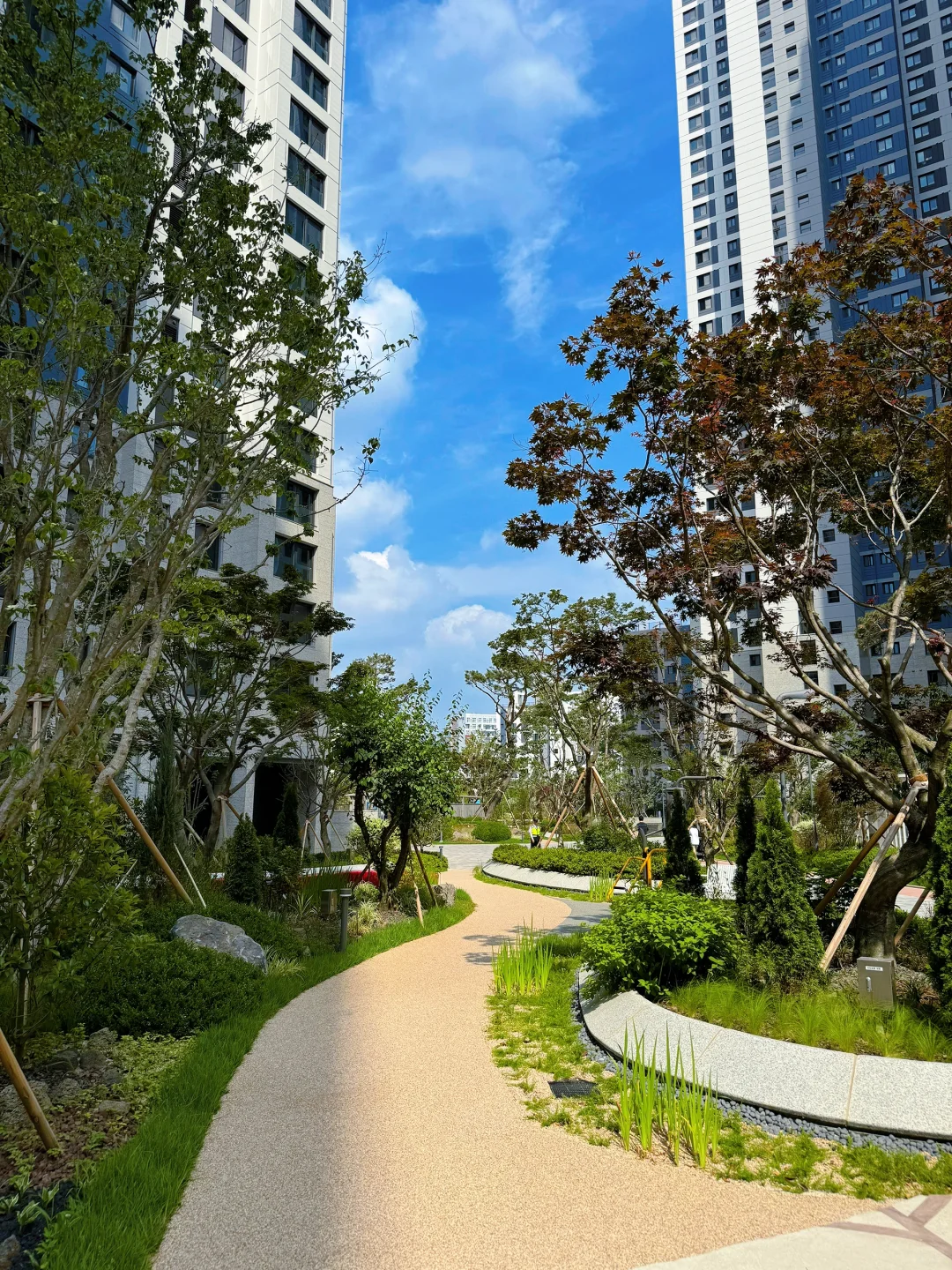 开箱韩国最新小区