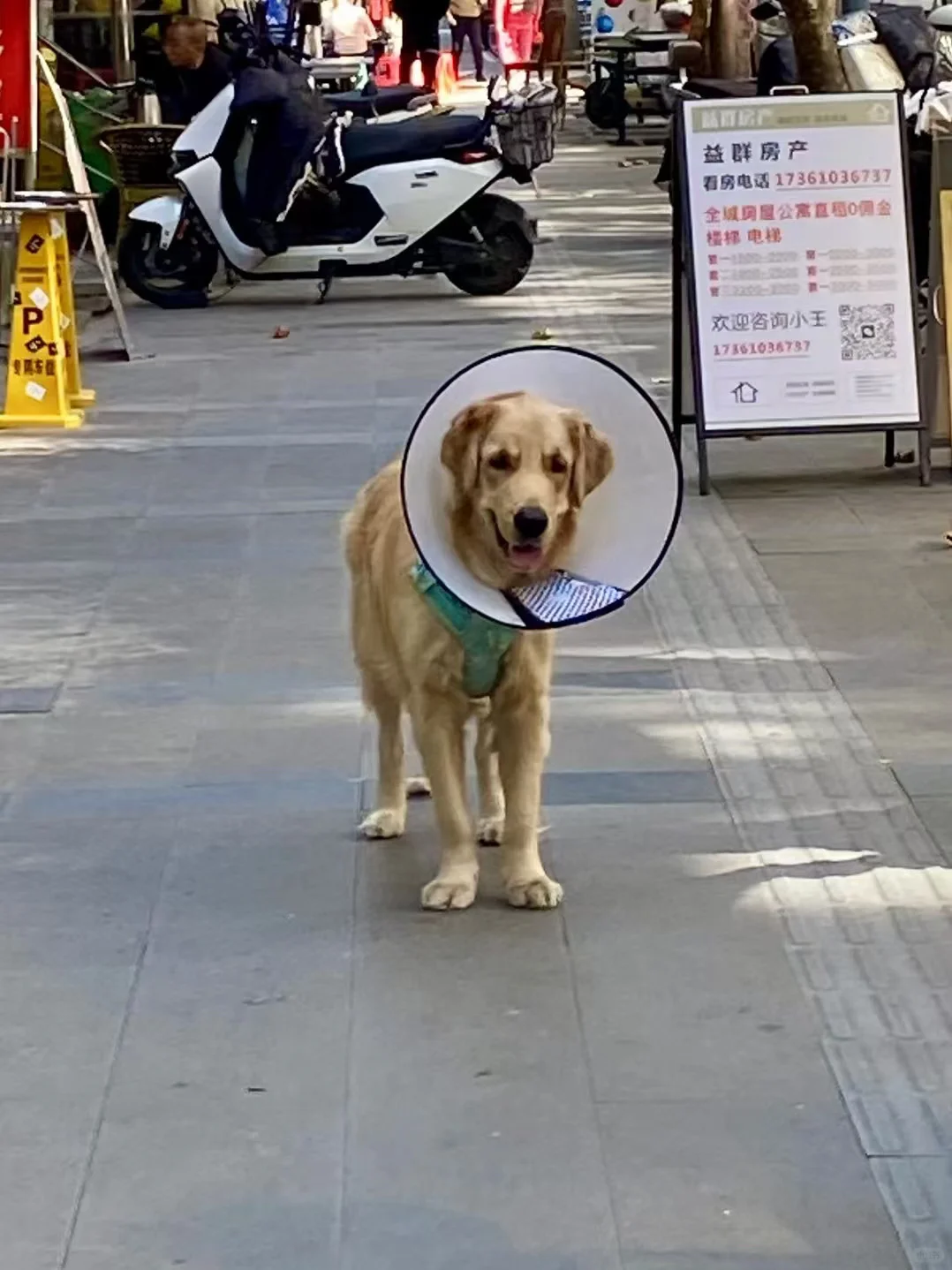 00后女生独闯成都(1200租春熙路套二篇🏠）