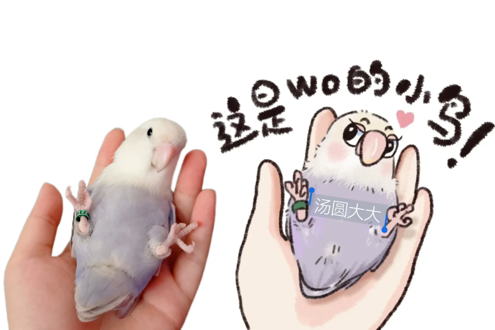 到底是谁的小鸡会抛媚眼