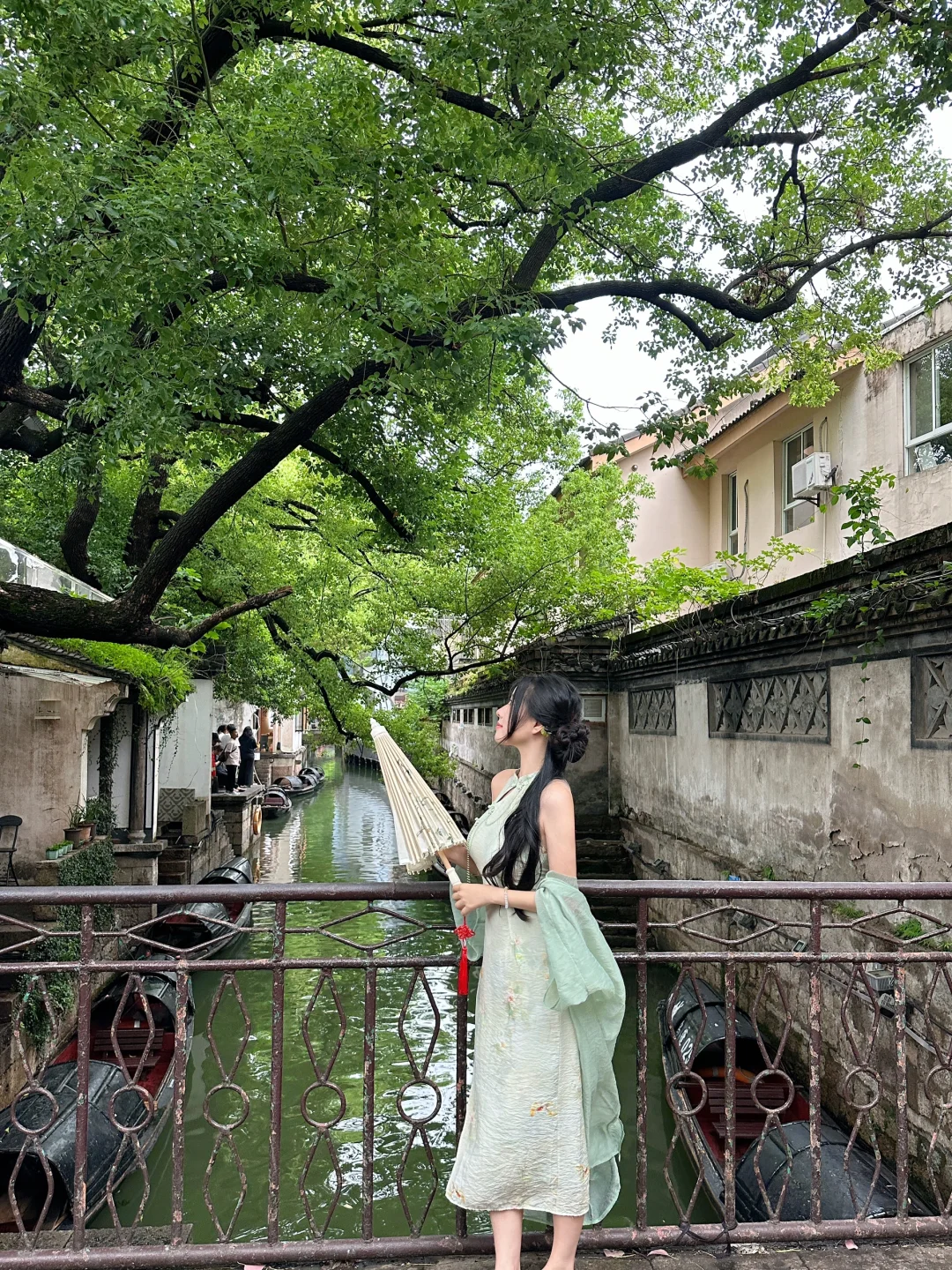 绍兴🍃丨读先生的书，探先生故里