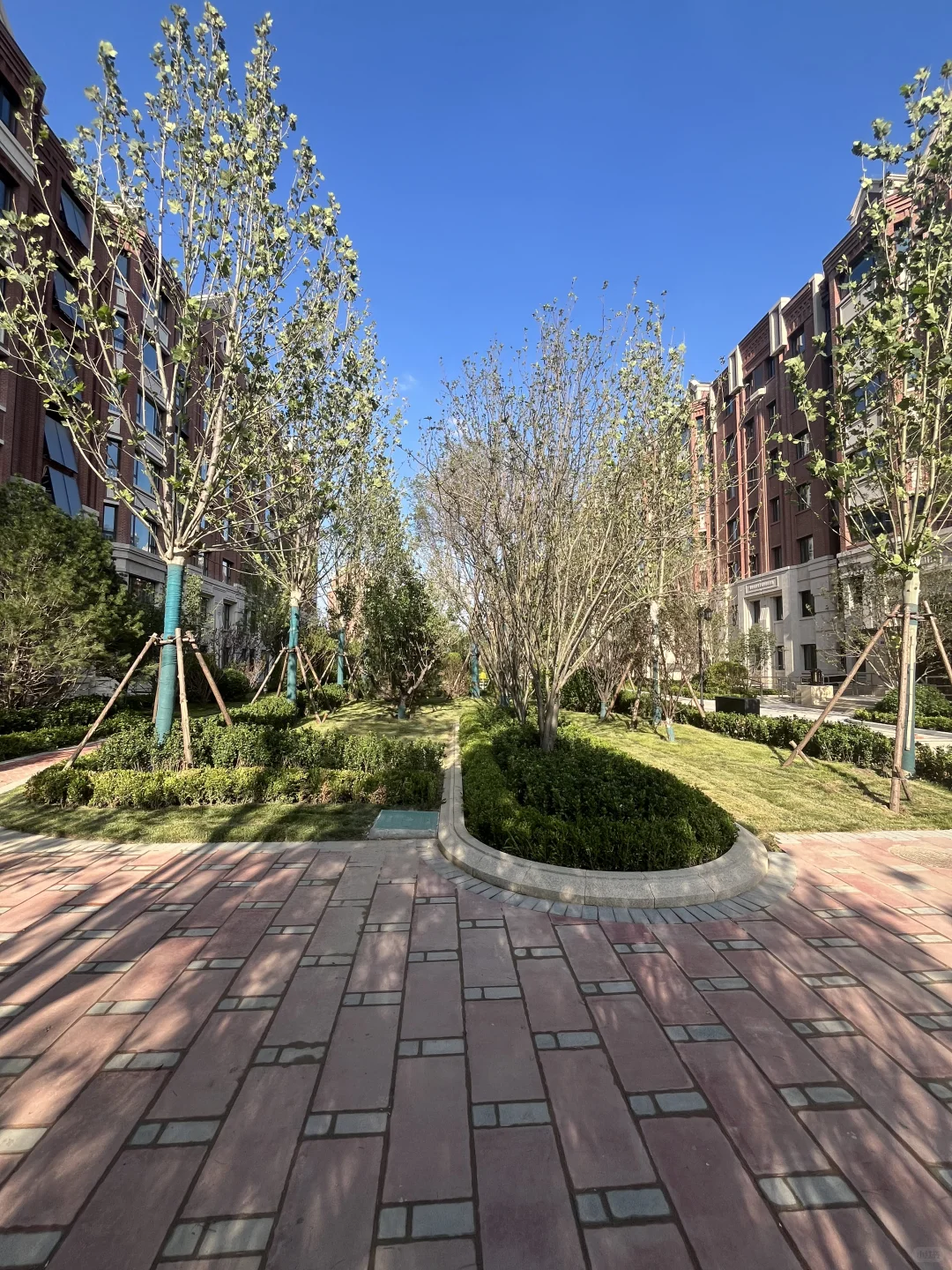 河西 新房 现房 7层到顶 电梯洋房🏡