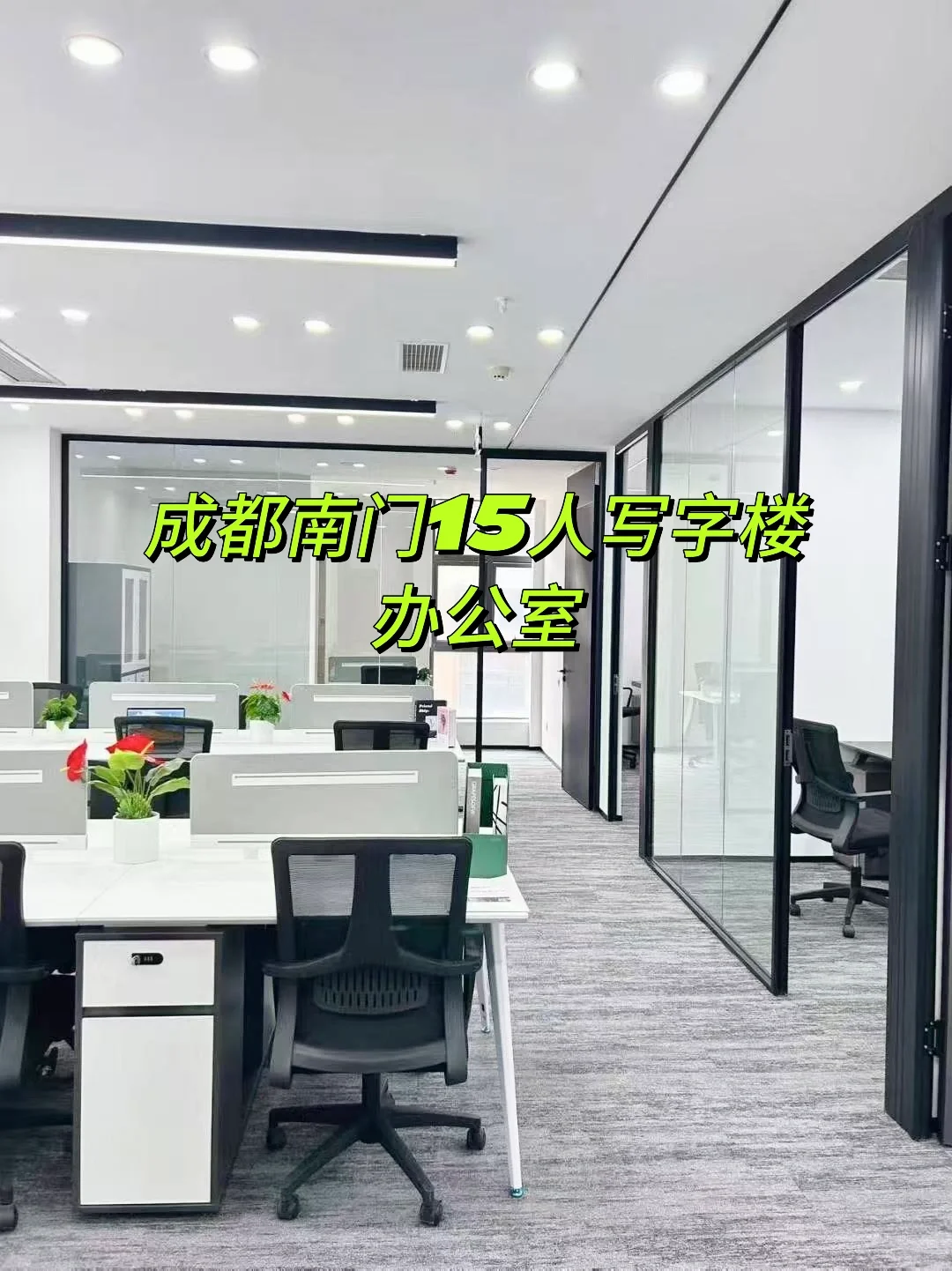 成都高新双流4.8全包15人写字楼办公室💥🫣