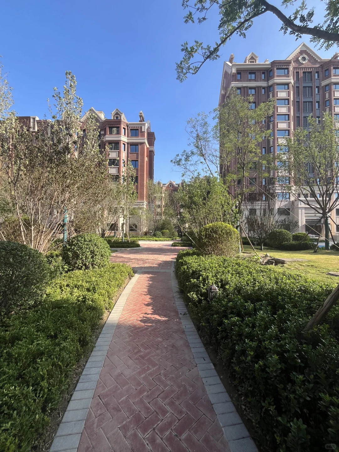 河西 新房 现房 7层到顶 电梯洋房🏡
