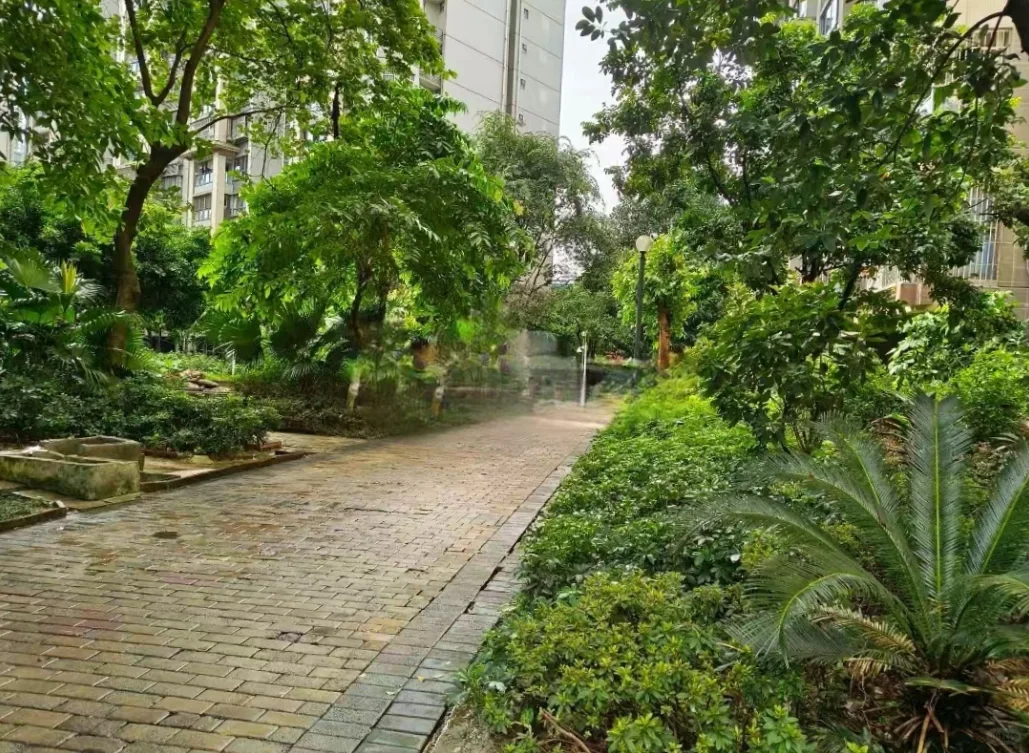 市中心江景128w，现82w!有人接吗。