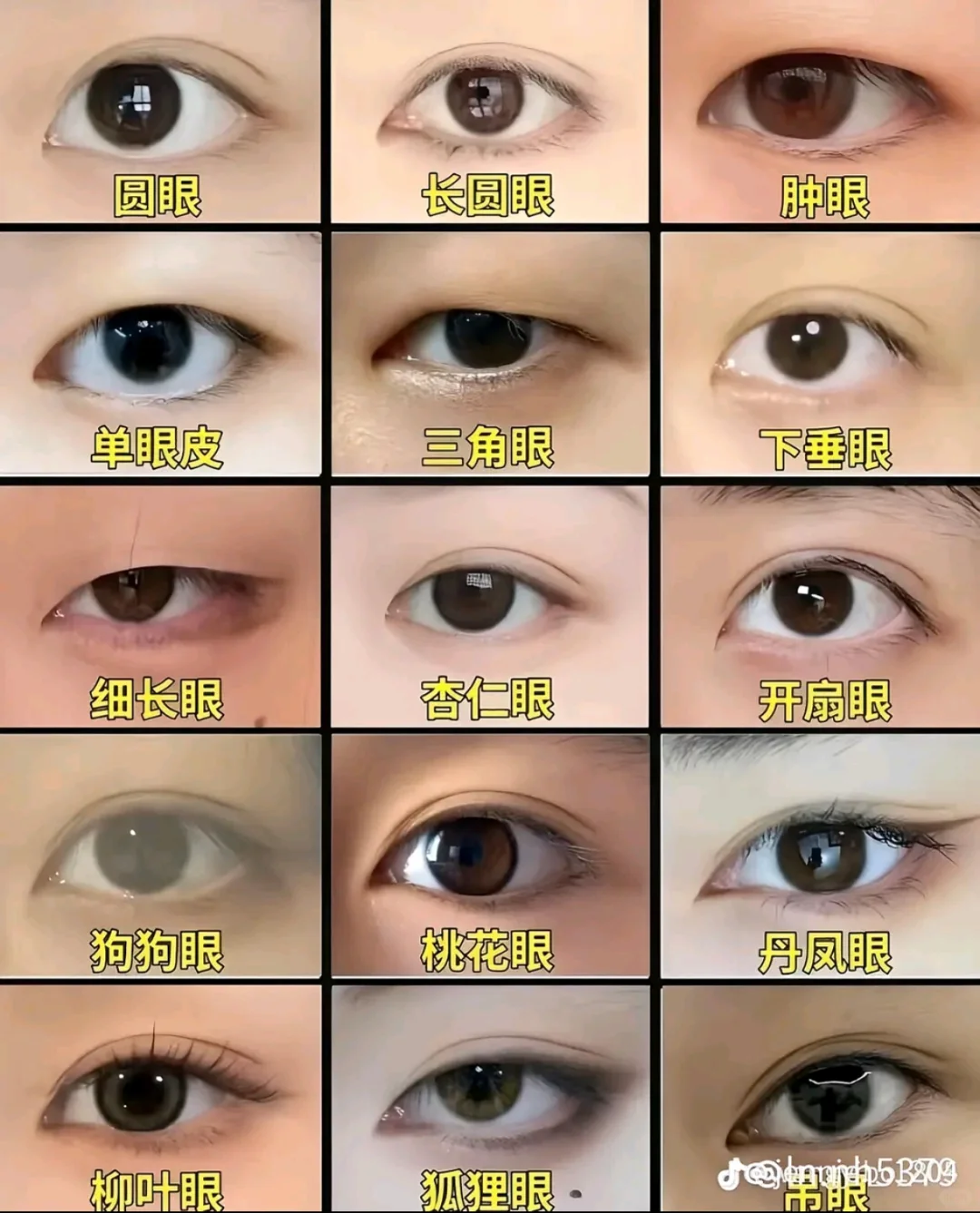 眼睛
