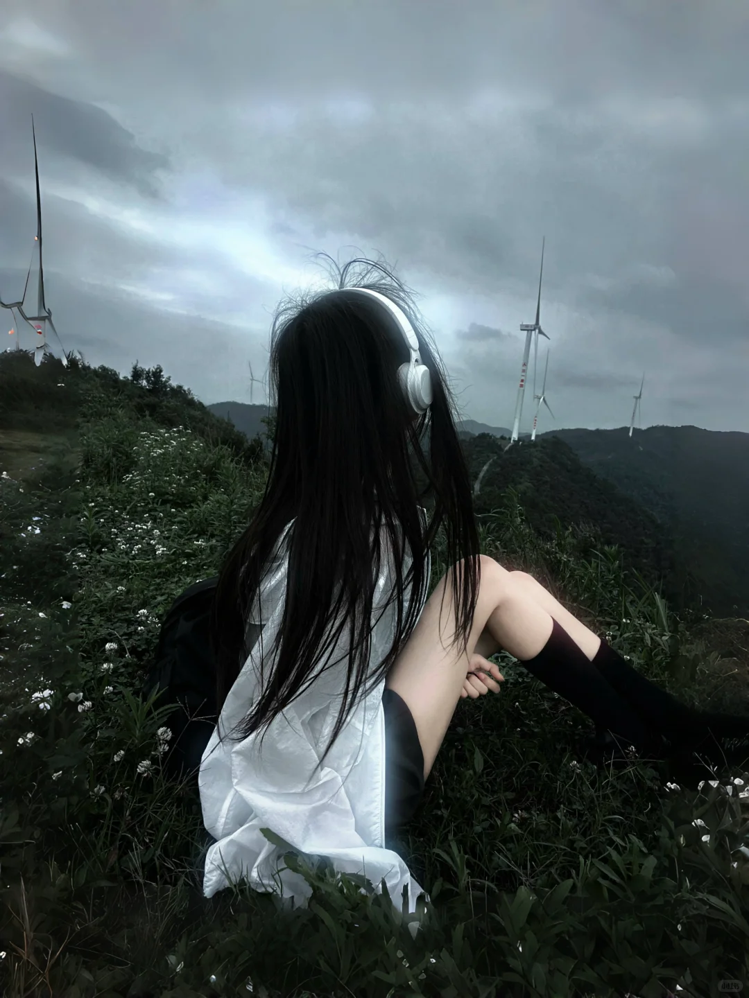 永远跟心走 心说跟你走