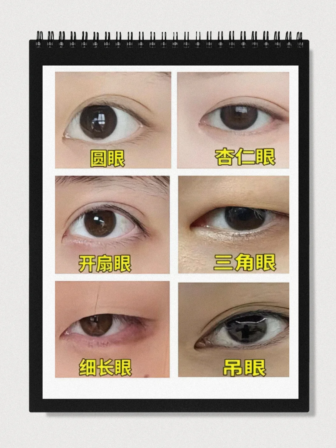 眼型自测，快看看有没有你熟悉的眼睛!